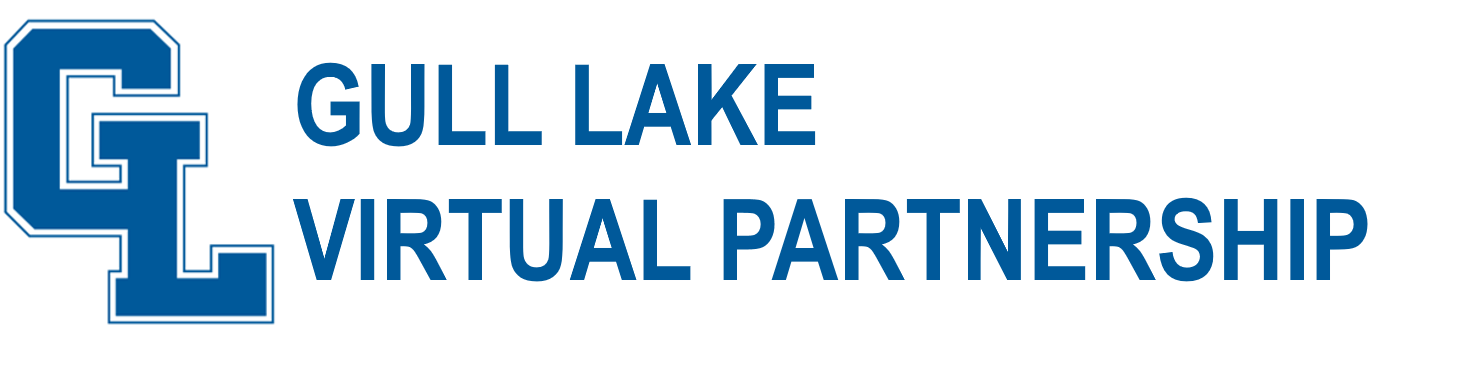 Gull Lake Virtual Partnership